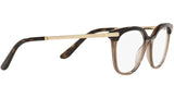 DG 3346 3256 tortoise