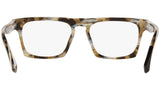N°861 3099 004 tortoise