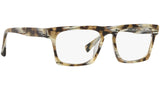 N°861 3099 004 tortoise