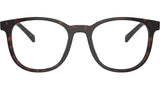 PR A15V 17N1O1 Tortoise