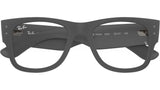 RB7840V Optics 5521