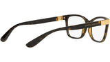 DG 5077 502 tortoise