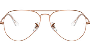 Aviator Optics RB6489 3094
