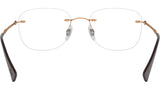 RB8748 Optics 1131