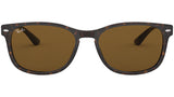RB2184 tortoise