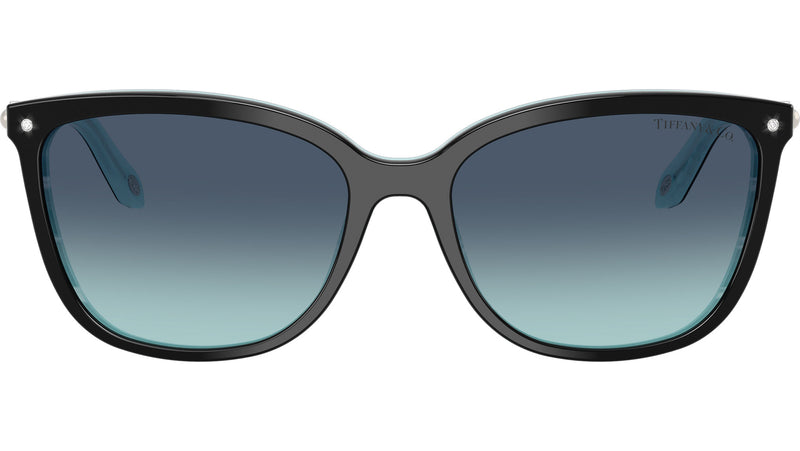 TF4105HB 81939S Black