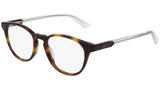 GG0491O 003 shiny tortoise