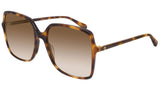 GG0544S shiny tortoise and brown